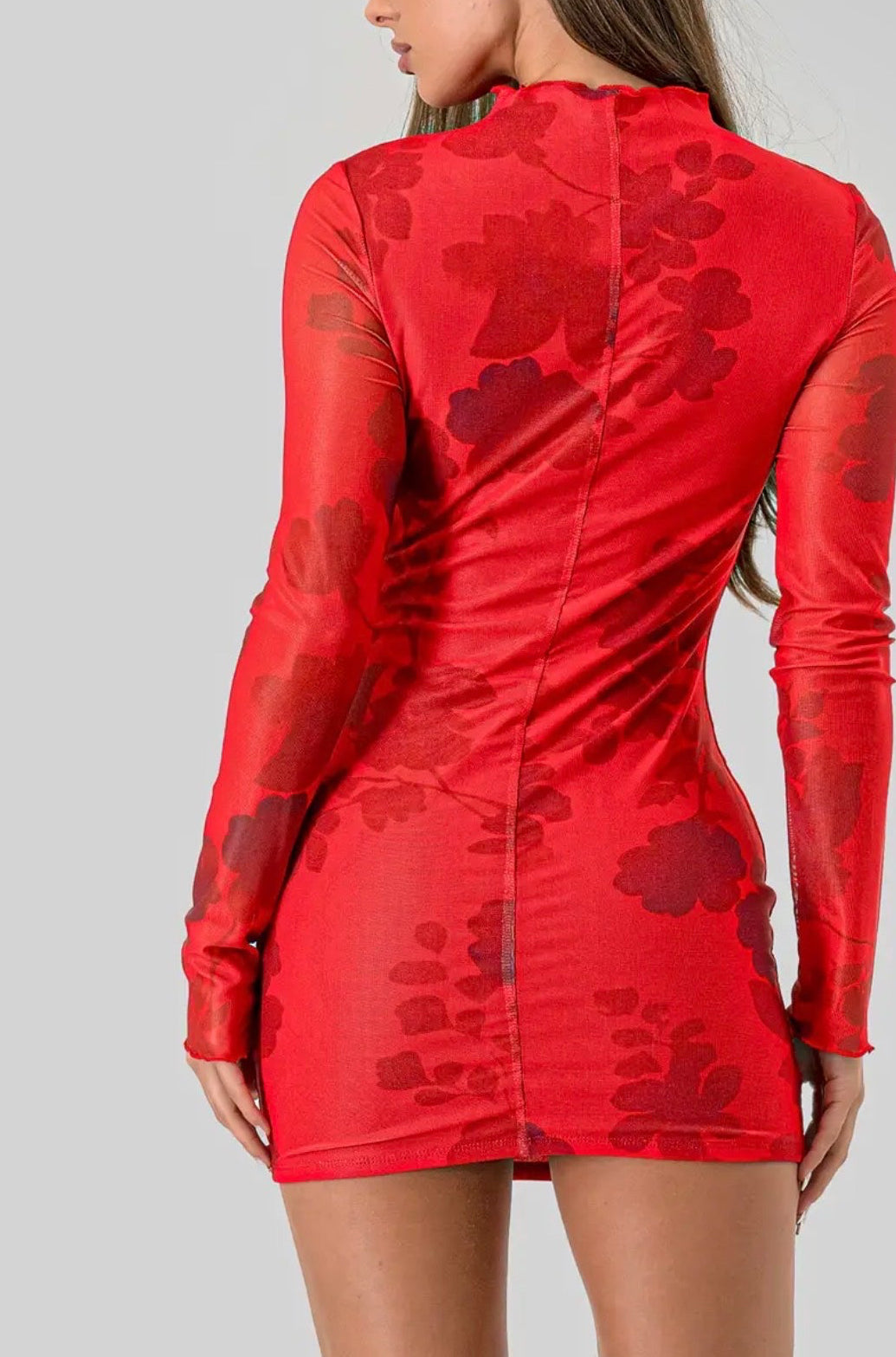 Mika (floral long sleeve mesh mini dress)